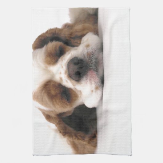 Schlafenrotes/weißes Cocker spaniel Küchentuch (Vertikal)