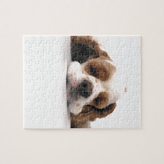 Schlafenrotes/weißes Cocker spaniel Puzzle (Horizontal)