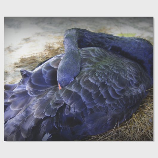 Schlafenschwan Geschenkpapier (Flach)