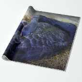 Schlafenschwan Geschenkpapier (Ungerollt)