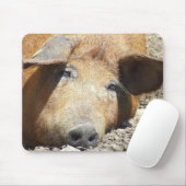 "Schlafenschwein" Mousepad (Mit Mouse)