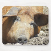 "Schlafenschwein" Mousepad (Vorne)