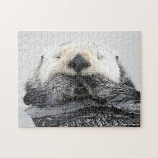 SchlafenSeeotter Puzzle (Horizontal)