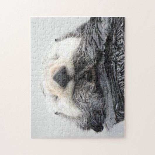 SchlafenSeeotter Puzzle (Vertikal)