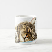 Schlafentabby-Katze Kaffeetasse (Mittel)