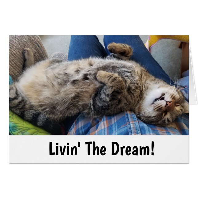 Schlafentabby-Katzen-Spaß (Vorderseite (Horizontal))