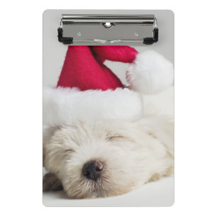 Schlafenterrier-Welpe tragende Weihnachtsmannmütz Mini Klemmbrett