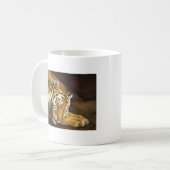Schlafentiger Kaffeetasse (Vorderseite Links)