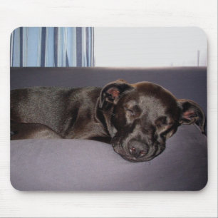 Schlafenwelpe Mousepad