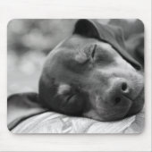 SchlafenZwergpinscherhund Mousepad (Vorne)