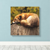 Schlaffox Canvas Print Leinwanddruck (Insitu (Holzboden))