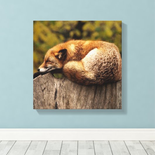 Schlaffox Canvas Print Leinwanddruck (Insitu (Holzboden))