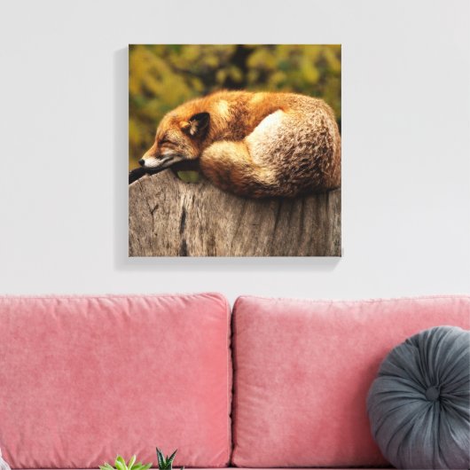 Schlaffox Canvas Print Leinwanddruck (Insitu (Wohnzimmer))