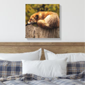 Schlaffox Canvas Print Leinwanddruck (Insitu (Schlafzimmer))
