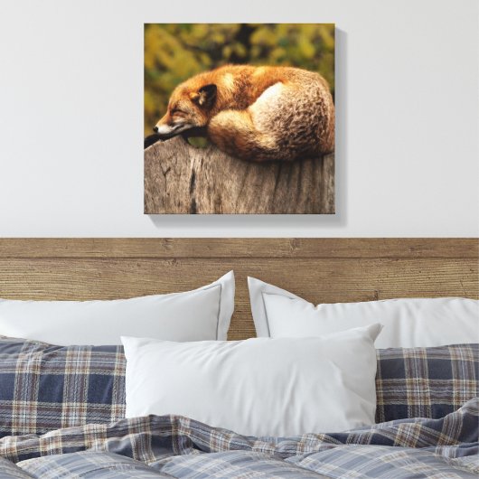 Schlaffox Canvas Print Leinwanddruck (Insitu (Schlafzimmer))