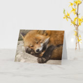 Schlaffoxnotecard Karte (Gelbe Blume)
