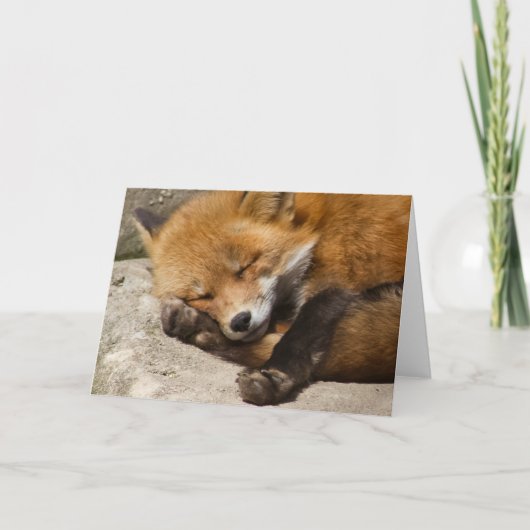 Schlaffoxnotecard Karte (Vorderseite)