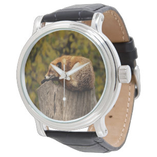 Schlaffuchs-Foto Armbanduhr