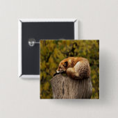 Schlaffuchs-Foto Button (Vorne & Hinten)