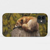 Schlaffuchs-Foto Case-Mate iPhone Hülle (Rückseite (Horizontal))