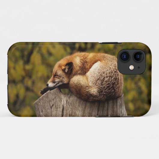Schlaffuchs-Foto Case-Mate iPhone Hülle (Rückseite (Horizontal))
