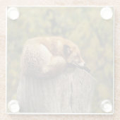 Schlaffuchs-Foto Glasuntersetzer (Rückseite)