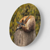 Schlaffuchs-Foto Große Wanduhr (Winkel)