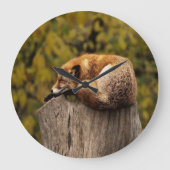 Schlaffuchs-Foto Große Wanduhr (Vorderseite)