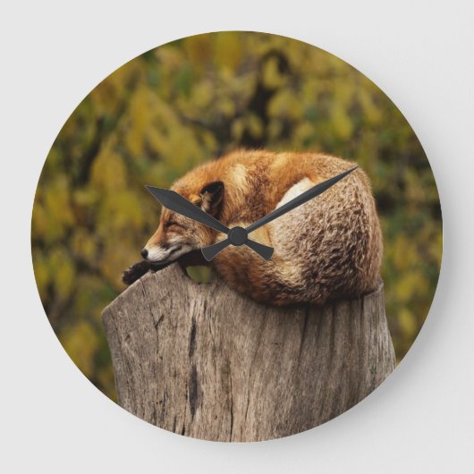 Schlaffuchs-Foto Große Wanduhr (Vorderseite)