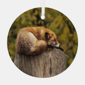 Schlaffuchs-Foto Ornament Aus Glas (Rückseite)