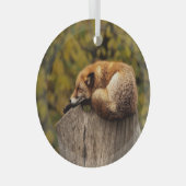 Schlaffuchs-Foto Ornament Aus Glas (Vorderseite Rechts)