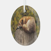 Schlaffuchs-Foto Ornament Aus Glas (Vorderseite links)