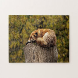 Schlaffuchs-Foto Puzzle