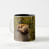Schlaffuchs-Foto Zweifarbige Tasse (Vorderseite Links)