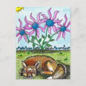 Schlaffuchs Postkarte (Vorderseite)