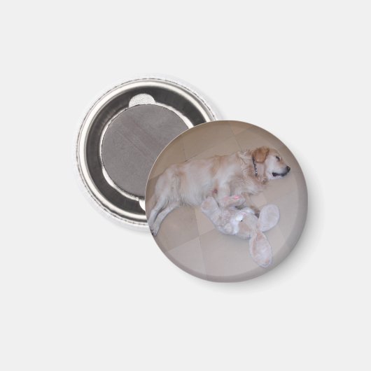 Schlafgolden Retriever Magnet (Vorderseite/Rückseite)