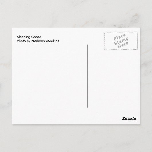 Schlafgoose Postkarte (Rückseite)