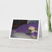 Schlafhund am Feuerplatz Karte (Vorderseite)