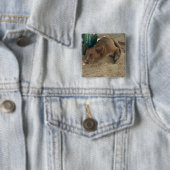Schlafhund Button (Beispiel)