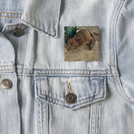 Schlafhund Button (Beispiel)