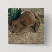 Schlafhund Button (Vorderseite)