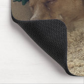 Schlafhund Mousepad (Ecke)