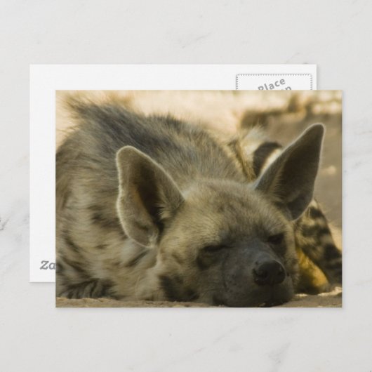 SchlafHyena Postcard Postkarte (Vorne/Hinten)