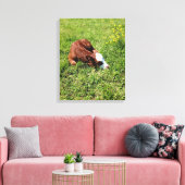 Schlafkalb Leinwanddruck (Insitu (Wohnzimmer))