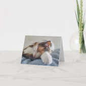 Schlafkalico Dankeskarte (Vorderseite)