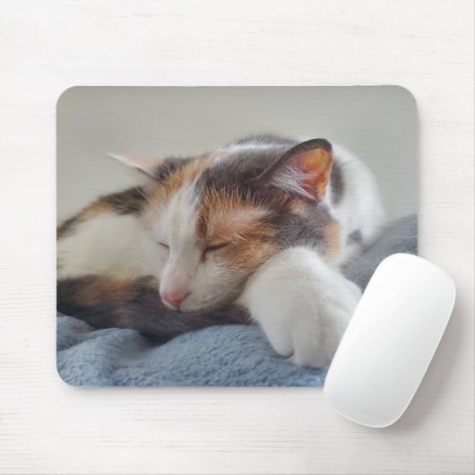 Schlafkalico Mousepad (Mit Mouse)