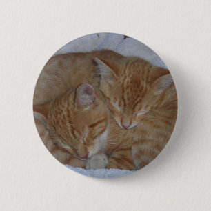 Schlafkätzchen Button