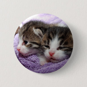 Schlafkätzchen Button