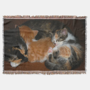 Schlafkätzchen Decke