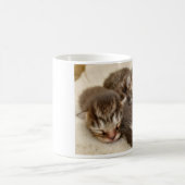 Schlafkätzchen Kaffeetasse (Mittel)